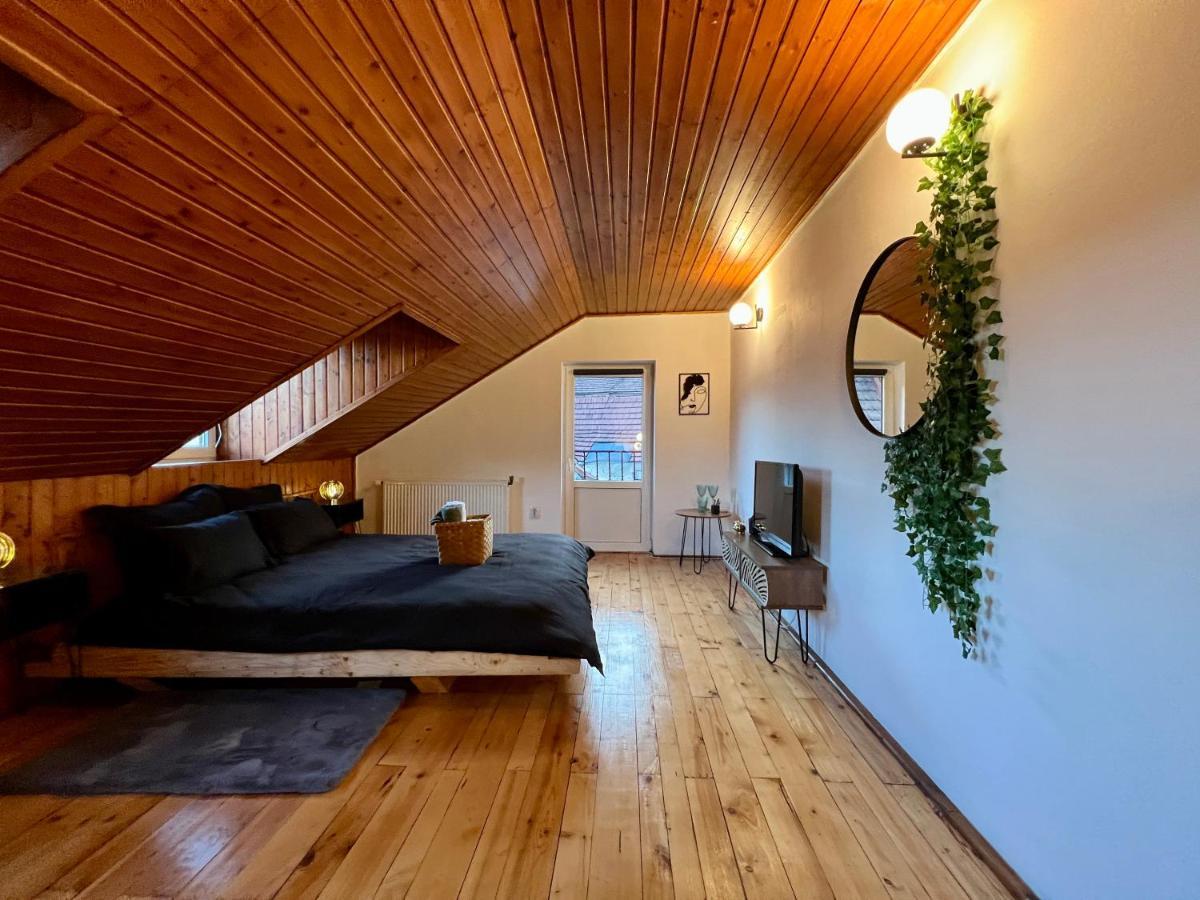 Ferienwohnung Nacada Studio By Hyco Sighişoara Exterior foto