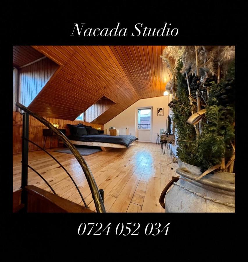 Ferienwohnung Nacada Studio By Hyco Sighişoara Exterior foto