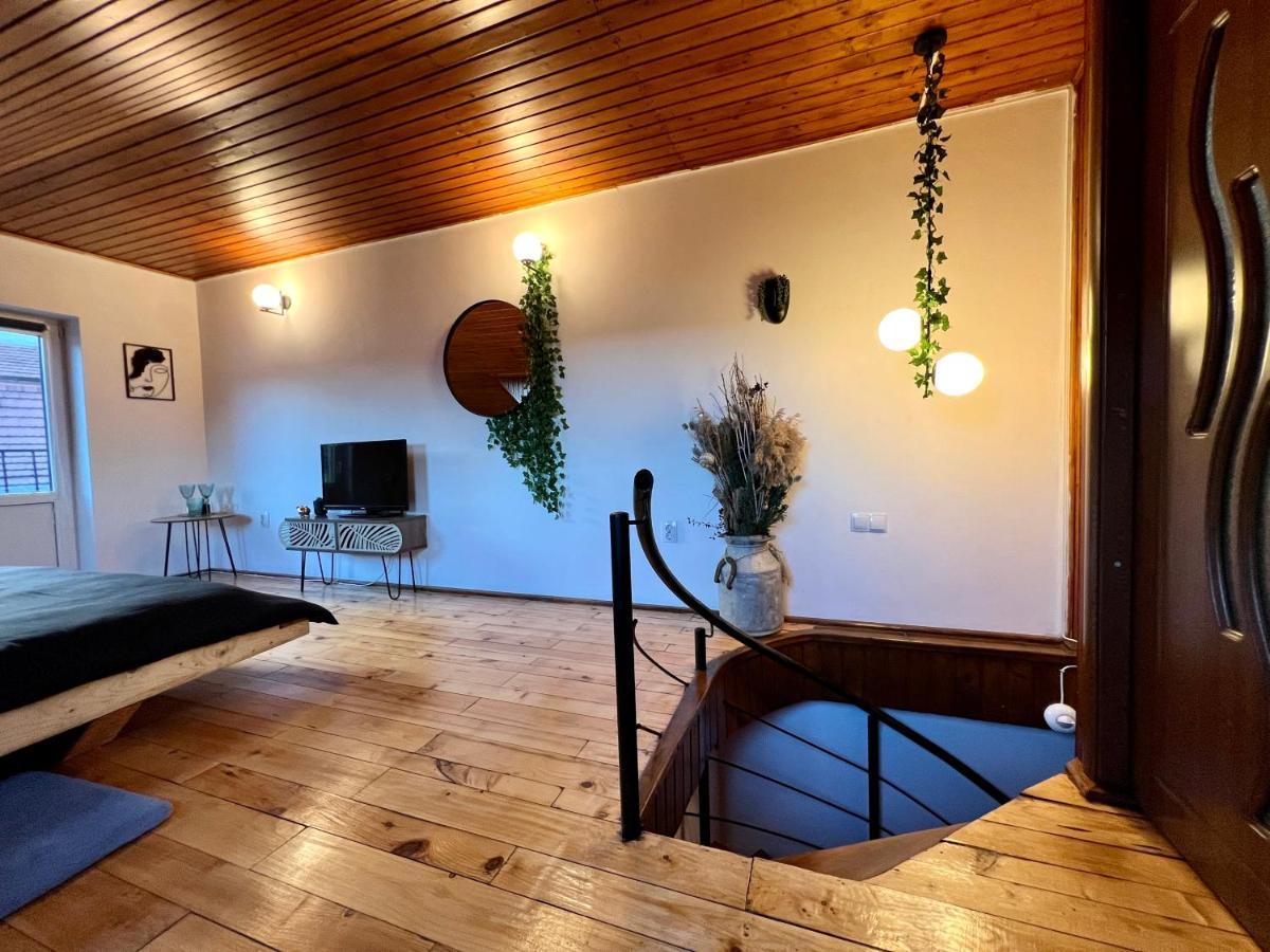 Ferienwohnung Nacada Studio By Hyco Sighişoara Exterior foto